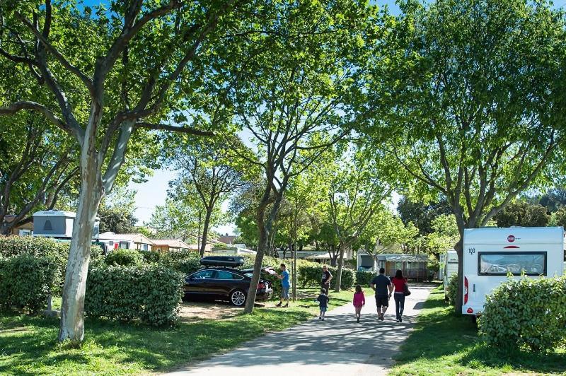Camping Parc Mogador Sanary-sur-Mer Kültér fotó